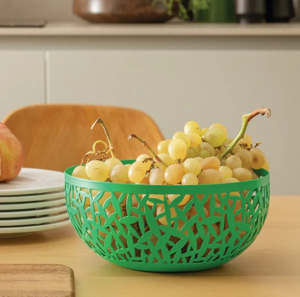 Shop Alessi CACTUS! Fruit Bowl (Large)