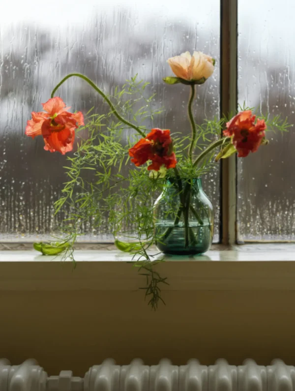Shop Muuto Silent Vase Dark Green 7.8
