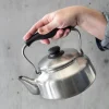 New Yanagi Stainless Steel Kettle